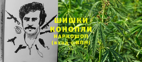 PSILOCYBIN Абинск