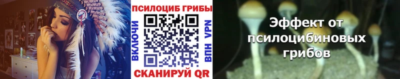 цены   Истра  Галлюциногенные грибы GOLDEN TEACHER 