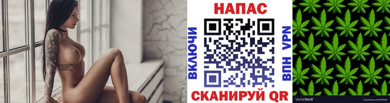 Канабис Bruce Banner  наркошоп  Истра 